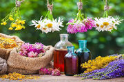 کشت گیاهان دارویی در ۵۰۰ هکتار از اراضی کشاورزی فریدن