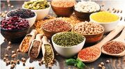 غلات مورد نیاز کشور به وفور تامین شده است