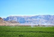 تجهیز ۷۴ هزار هکتار از اراضی کشاورزی آذربایجان‌شرقی به آبیاری تحت فشار