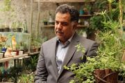 واسطه های غیرضروری و رعایت نشدن ضوابط فروش، قیمت میوه را افزایش می دهد