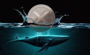 خرید ۲ میلیارد دلاری نهنگ‌های ریپل؛ آیا جهش بزرگ قیمت XRP در راه است؟