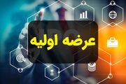 شکیمیا؛ دومین نخ‌فروش بازار سرمایه در مسیر عرضه اولیه