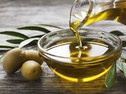 زیتون‌کاران گیلان برای تجهیز باغ‌ها به آبیاری نوین حمایت می‌شوند