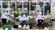 تولید دارو در تهران زیر سایه نوسانات ارز، حمل‌ونقل و کمبود مواد اولیه