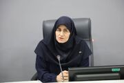 معرفی ۱۰ فرصت سرمایه‌گذاری استان زنجان به نمایندگی‌های جمهوری اسلامی ایران