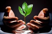 ۷۵۰۰ میلیارد تسهیلات به کشاورزی هرمزگان رسید
