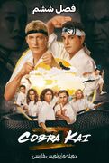 دانلود سریال کبرا کای فصل ششم "Cobra Kai" دوبله و زیرنویس فارسی