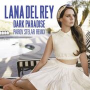 آهنگ Dark Paradise از Lana Del Rey با متن و ترجمه