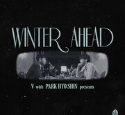 دانلود آهنگ Winter Ahead از V (Taehyung Of BTS) و PARK HYO SHIN + متن و ترجمه