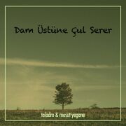 Dam Üstüne Çul Serer