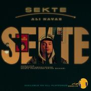 دانلود آهنگ یه شب از قصد رفتم تنها شی