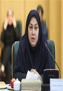 معاون بانک مرکزی:‍ پرداخت موبایلی تا پایان سال اجرایی می‌شود