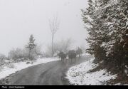 بارش برف در ارتفاعات و مناطق کوهستانی لرستان