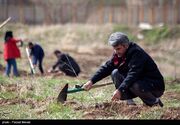 بوستان ۵۰ هکتاری خانواده در جیرفت احداث می‌شود