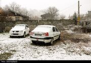 هواشناسی ایران۴۰۳/۱۰/۸؛بارش برف در ۲۰ استان؛ سفرها ممنوع