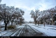 هواشناسی ایران ۱۴۰۳/۱۰/۱۷؛ هشدار بارش برف و باران در ۲۳ استان