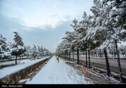 هواشناسی ایران۱۴۰۳/۱۰/۱۹؛سامانه بارشی شنبه وارد کشور می‌شود