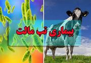 ابتلای ۱۸۰۰۰ نفر به تب مالت/بیماری افزایش چشمگیری نداشته است