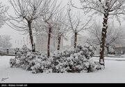 بارش برف در کردستان/گردنه‌ها برف‌گیر شدند+ فیلم