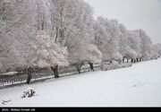 ارتفاع برف در تویسرکان به ۱۵ سانتی‌متر رسید