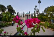 بازآفرینی آرامگاه سعدی کلید خورد