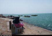 صدور هشدار دریایی سطح نارنجی در سواحل استان بوشهر