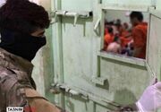 آزادی صدها زندانی داعشی از زندان «الرقه» سوریه