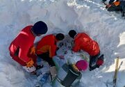 پیکر 3 کوهنورد مفقودشده در همدان پیدا شد/تلاش برای یافتن نفر چهارم