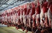 واردات 9 هزار تن گوشت از مرزهای سیستان و بلوچستان