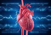 هوش مصنوعی به کمک تشخیص دقیق‌تر عروق کرونری قلب آمد