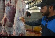 آماده‌باش دامپزشکی گلستان برای عید قربان؛ 77 اکیپ نظارتی در میدان