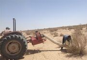 ملخ‌های بومی برای تولید خوراک طیور و آبزیان جارو می‌شوند
