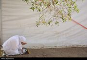 عرفه؛ روزی برای بازخوانی انسان در آینه تمدن