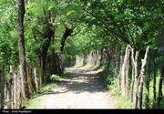 از پل حسرت تا بهشت ارسباران؛ روایتی جذاب از شگفتی‌های خداآفرین