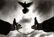 گذشت اولیای دم از قصاص قاتل در کهنوج