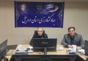اردبیل 60 رشته فعال صنایع دستی دارد