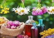 برداشت سالانه 8500 تن گیاهان دارویی، گل محمدی و زعفران در استان مرکزی
