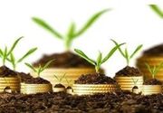 جهش بیمه کشاورزی در آذربایجان شرقی؛ پوشش اراضی زراعی 600هزار هکتار شد