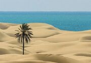 «صیادی سنتی» ظرفیتی ارزشمند برای توسعه گردشگری دَرَک