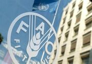 فائو از ادامه فشار جنگ خاورمیانه بر بازار مواد غذایی خبر داد