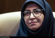 انصاری: حفاظت از محیط‌زیست ضرورتی راهبردی برای امنیت ملی است