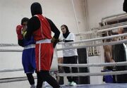 طهماسبی: بی‌هدف به جام‌ جهانی نمی‌رویم/از مرحله آزمون و خطا عبور کردیم
