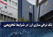 مخالفت سازمان برنامه با ارز تک نرخی؛ هشداردرباره جهش تورم