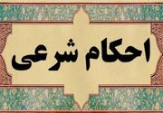 رفع یک شبهه؛ تفاوت ماهوی «طلای سفید» و «پلاتین» در زینت مردان