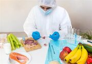 غذای ناسالم؛ قاتل خاموش 1.5 میلیون نفر در جهان
