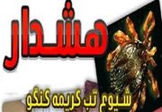 هشدار سازمان دامپزشکی درباره شیوع تب کریمه کنگو