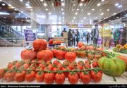 سنندج میزبان اندیشه‌های نوین باغبانی؛ توسعه 50 هزار هکتاری باغات