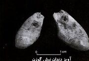 آغاز تاریخ زیبایی ایران در لرستان؛ آویز 40 هزار ساله در غار یافته