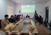 سرایان پیشتاز تولید زیره سیاه در خراسان جنوبی شد