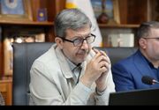 پیگیر ثبت معجزه مهیار در تقویم رسمی کشور هستیم